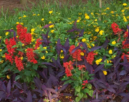 Landscaping, Acworth, GA