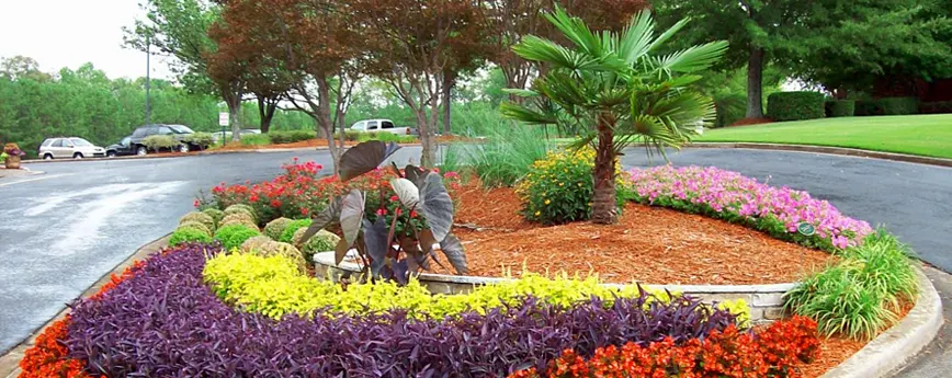 Landscape Plantings, Acworth, GA